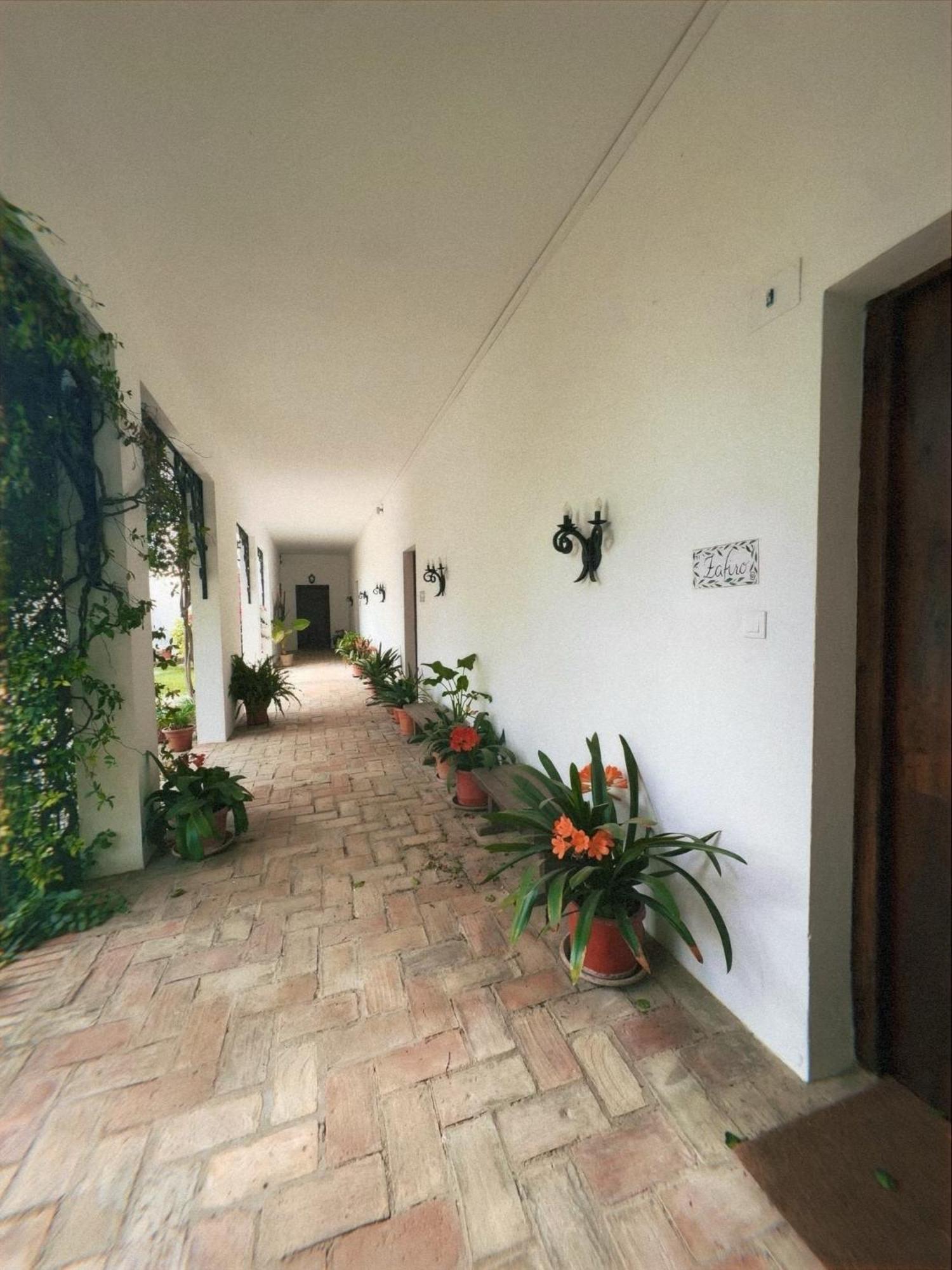 Cortijo De Guerra Guest House Puerto Real Exterior photo