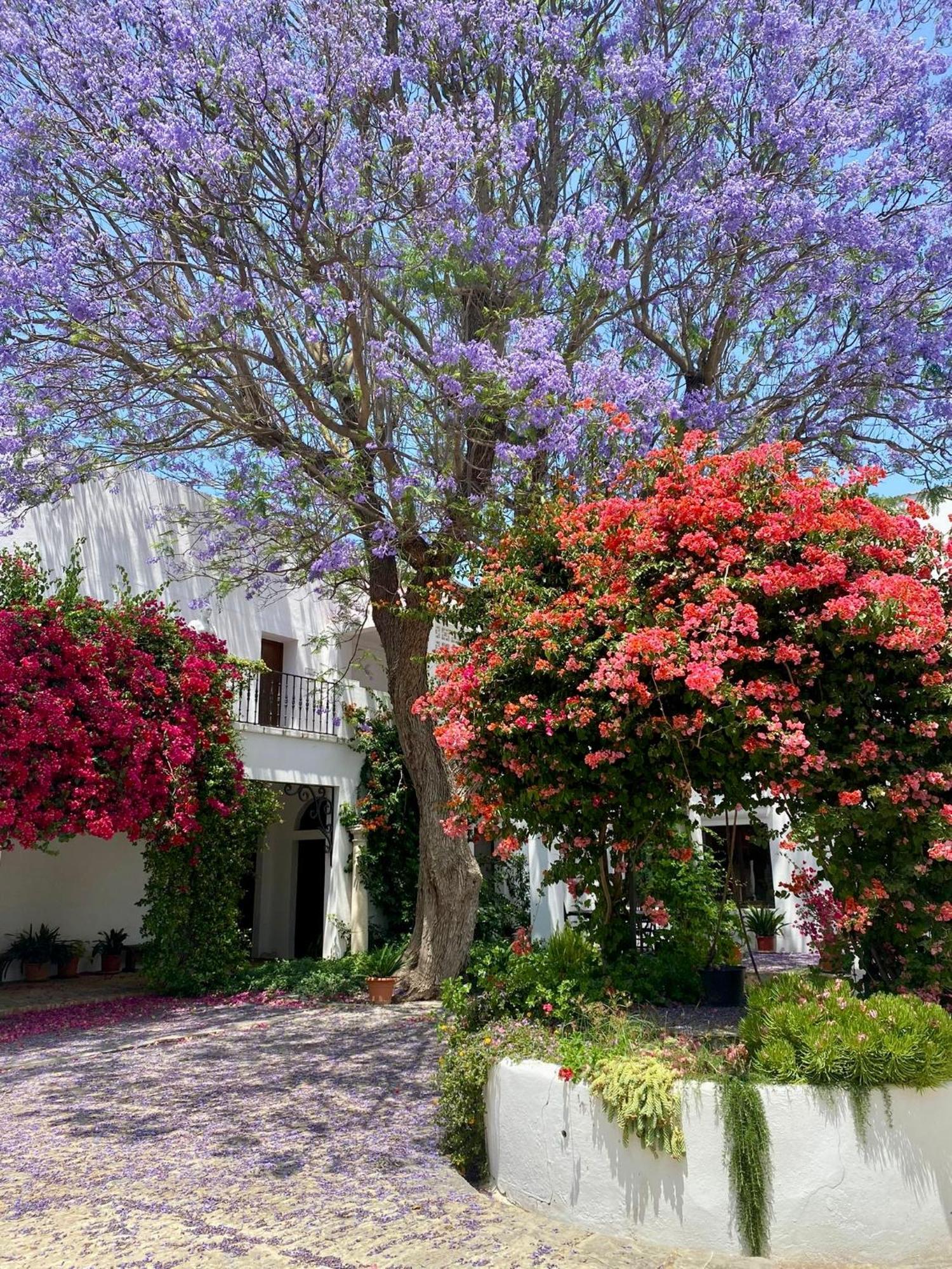 Cortijo De Guerra Guest House Puerto Real Exterior photo