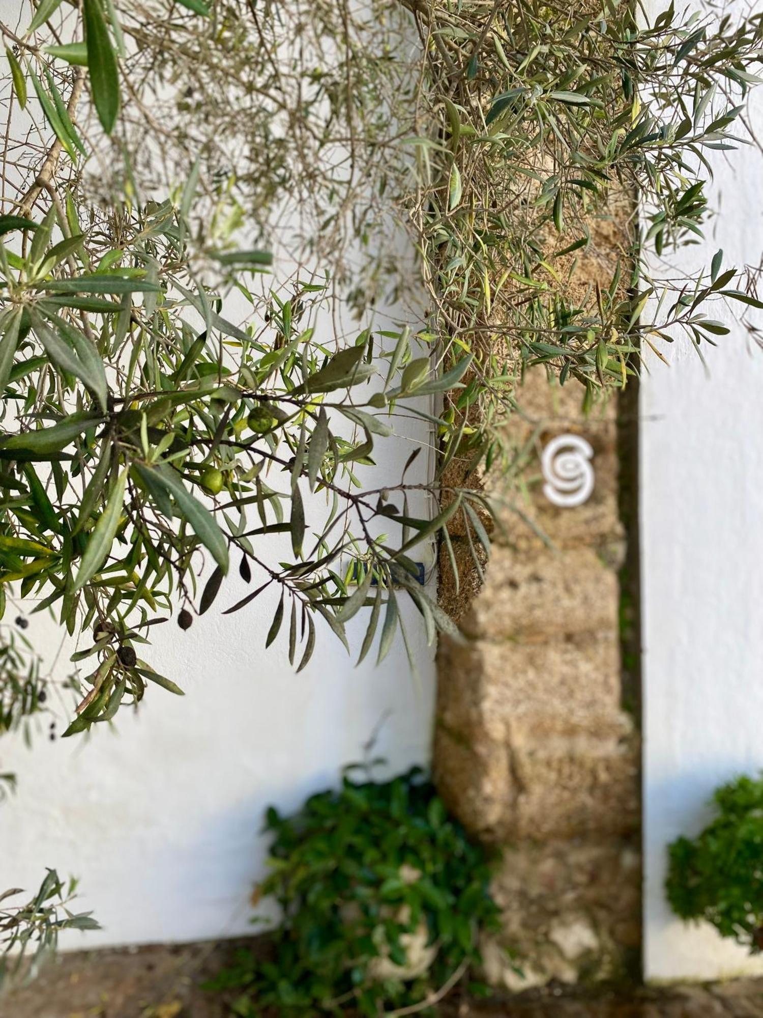 Cortijo De Guerra Guest House Puerto Real Exterior photo